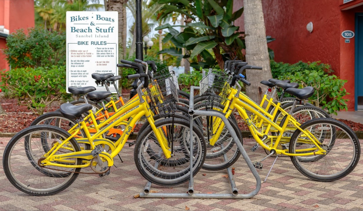 Read more about the article Exploring Urban Mobility: The Rise of City Bicycle Rentals